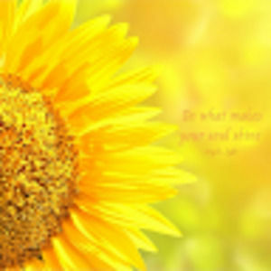 Meet your Posher, Doris